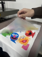 Qinyu Meilleur Prix Machine d'impression numérique haute résolution pour transfert à chaud de films PET en rouleau pour étiquettes de lavage de vêtements et t-shirts
