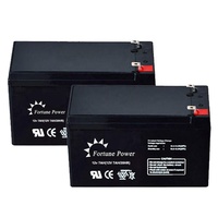 Batería de Plomo-Ácido Sellada (VRLA) AGM, Modelo FP9-12, 12V 9AH, para Sillas de Ruedas Eléctricas y UPS