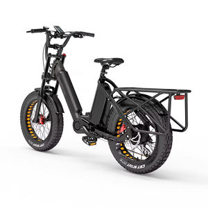 Bafang-Tricycle Électrique de Mobilité à Gros Pneu de Ville 750W, avec Cadre en Alliage d'Aluminium, Moteur 6061, pour UE, UK, US - Product Image 2