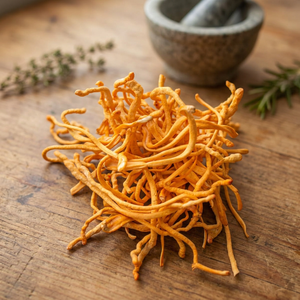 Extracto de Cordyceps Militaris de Grado Alimenticio Natural para Suplementos Dietéticos - Product Image 3