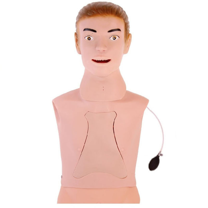 Медицинский манекен для обучения назогастру кормления и интубации трахеи, тренировочный симулятор, манекен для кормления