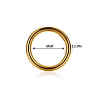 Perhiasan Tindik Tubuh ASTM F136 Titanium Hinged Zircon Cincin Hidung Cincin Septum Anting Daith Lelix