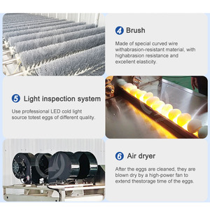 OCEAN-Cepillo eléctrico para huevos, máquina limpiadora de cáscara de huevo, línea de limpieza de huevos de pollo industrial - Product Image 6