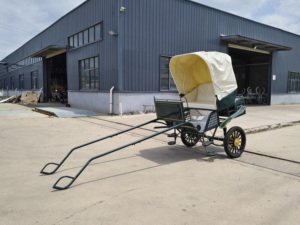 รถม้าไฟฟ้าเฮงยี่เซิง รถมาราธอนสองล้อ ราคาโรงงาน ผลิตภัณฑ์จากเหอหนาน - Product Image 5