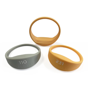 Tùy chỉnh in logo RFID Silicone dây đeo cổ tay nhựa kiểm soát truy cập hệ thống với Laser khắc logo - Product Image 1