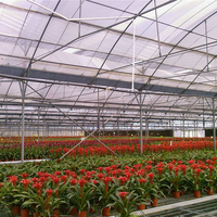 Serre tunnel en plastique multi-travées anti-UV pour tomates Fuma Sales