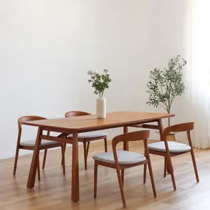 Chaises de cuisine modernes et nordiques de luxe pour restaurants Ensemble de chaises de haute qualité en bois massif avec accoudoirs en tissu Coussin en bois avec café