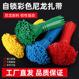 Attaches de câbles en nylon coloré LTS, épaisseur 1 mm, indice d'ignifugation V-2, pour l'industrie, le jardinage, la maison, fixation robuste, attaches en plastique à boucle - Product Image 4
