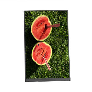 7 इंच 800x1280 एचडी वैकल्पिक ctp Lcd Tft डिस्प्ले मॉड्यूल ips 400nits व्यापक तापमान मिपी कस्टम एलसीडी स्क्रीन - Product Image 1