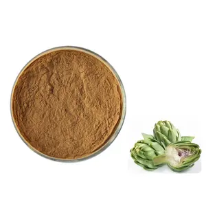 고품질 천연 Cynarin 5% 아티 초크 잎 추출물 분말