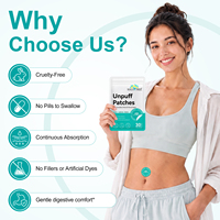 SOLOTREE Patchs Digestifs Personnalisés aux Herbes (Pissenlit, Fenouil) – Soutien Digestif Équilibrant – 30 Unités – Vente Directe Usine OEM pour Distributeurs