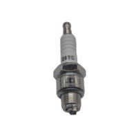 Produits de haute qualité du fabricant Bougies d'allumage E6TC pour motos