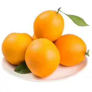 Harga Pabrik Baru Dipilih Navel Orange Newhall Orang Navel Orange dan Valencia