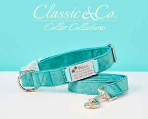 Ensemble collier et laisse personnalisés en cuir suédé pour animaux de compagnie, collier pour chat Aqua personnalisé avec étiquette nominative en métal gravée et clochette offerte - Product Image 2