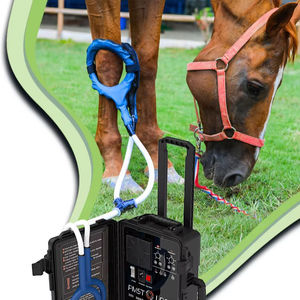 Macchina di terapia del cavallo di promozione equino sollievo dal dolore PMST LOOP PEMF dispositivo di terapia magnetica del cavallo macchina per la terapia del magnete del fisico - Product Image 1
