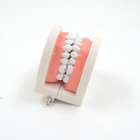 Recursos Didácticos de Odontología, Modelo de Prótesis Dental 3D, Práctica Oral, Modelo de Medicina Oral, CE/ISO