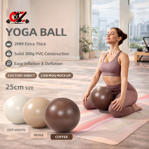ลูกบอลพีวีซีสำหรับพิลาทิสและโยคะ ขนาด 8 นิ้ว แบบด้าน ขนาดเล็ก 22 ซม. 20 ซม. 25 ซม. น้ำหนัก 300 กรัม  ขนาด 6 นิ้ว  พร้อมโลโก้สั่งทำ  วัสดุพลาสติกนุ่ม สำหรับฟิตเนสและยิมนาสติก ป้องกันการแตก ขนาด 10 นิ้ว - Product Image 1