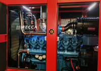 Groupe électrogène Mecque 1000/1100/1200kva Baudouin 800/900/1000kva générateur diesel de puissance de secours pour la station-service d'huile