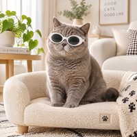 Lunettes de soleil mignonnes pour chat, en plastique, accessoire de costume de cosplay pour animaux de compagnie, toutes saisons