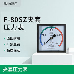 Manómetro de presión con revestimiento Tianchuan de 96 mm F-80SZ, manómetro de vacío para cámara interior de horno de esterilización - Product Image 5