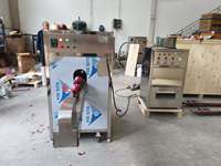 Machine automatique commerciale en acier inoxydable pour l'épluchage et la découpe des oignons, capacité de 600 kg/h, équipement haute productivité à vendre