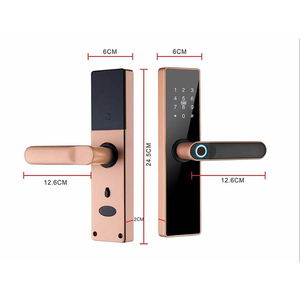 Nhà Máy Cung Cấp Thông Minh Khóa Cửa Cao An Ninh Điện Kỹ Thuật Số Khóa Cửa Vân Tay Với Xử Lý Không Thấm Nước Thông Minh Ổ Khóa Cho Nhà - Product Image 5