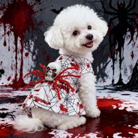 Nouvelle jupe en peluche pour chien, tenue à quatre pattes pour Halloween, motif araignée rouge sang effrayant, pour petits chiens, livraison directe d'usine
