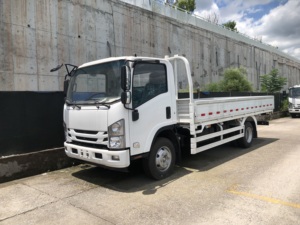 Camion léger moyen Isuzu 700p, cabine simple, camion à plateau, camion de transport, camion d'occasion/neuf, prix d'usine bas, camion à vendre - Product Image 3