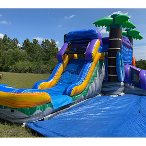 Château gonflable commercial pour enfants et adultes avec toboggan aquatique, certifié CE, respectueux de l'environnement, capacité de 1000 kg - Product Image 1