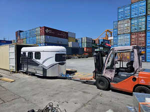 Australian Standard Complied Durable 3HAL Horses Float Tandem achse mit Sattel box - Product Image 3