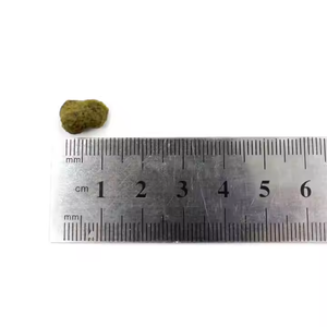 Biscotti Croccanti al Gusto di Pollo per Gatti, Senza Cereali, Ricchi di Proteine, Ecologici, Snack per Gatti OEM - Product Image 4