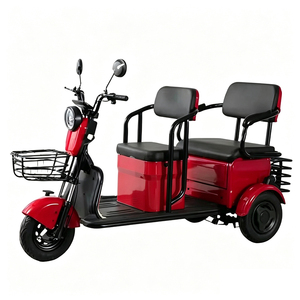 Tricycle électrique de transport pour adultes, vélo électrique à trois roues, tricycle électrique avec panier, tricycle électrique pour personnes âgées - Product Image 1