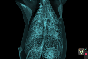 Escáner de Tomografía Computarizada <span class=keywords><strong>Veterinaria</strong></span>, Máquina de Tomografía Computarizada para Veterinarios, Resolución Espacial HD, Tamaño Compacto para Instalación, Múltiples Modos de Escaneo - Product Image 6