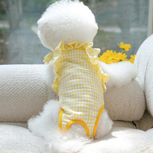 पपी डॉग फ्लोरल लेस बेली बैंड - नर और मादा कुत्तों के लिए यूनिसेक्स फिजियोलॉजिकल पैंट, वसंत और गर्मियों के लिए पालतू कपड़े - Product Image 5