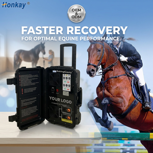 Appareil PEMF à double canal personnalisable pour chevaux, améliorant les performances sportives, dispositif à impulsions magnétiques PEMF pour centre équestre - Product Image 1