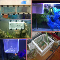 Filet d'isolement en nylon à mailles fines pour aquarium, boîte de reproduction pour poissons guppy et betta, boîte de reproduction pour poissons d'aquarium