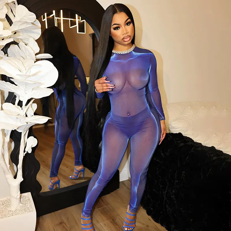 2024 Shiny Silk Mesh Jumpsuits Women Solid See Through Sexy Hot Full Sleeve Back Zip-up O-neck Overalls Lady Midnight Clubwear