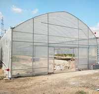 Structure de cadre métallique de serre de tunnel de film plastique à portée unique commerciale à faible coût pour les plantes agricoles