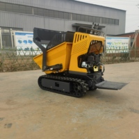 Allrad-Minilader Raupentransporter Benzinbetriebener Hydraulischer Selbstentladender Dumper 1 Jahr Garantie Hoher Drehmoment für Obstgärten