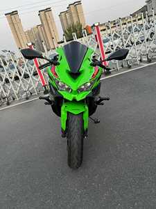 Kawasaki Ninja <span class=keywords><strong>ZX</strong></span>-4RR 2024, moteur 4 cylindres en ligne |   Moto de course en état neuf avec peinture d'origine - Product Image 3