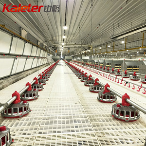 Rejilla de Plástico para Pisos de Gallineros, para Cría de Gallinas Ponedoras y Pollos de Engorde, Rejilla Elevada para Aves de Corral - Product Image 1