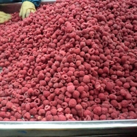 Topkwaliteit IQF diepvries frambozen, zoete smaak, hele vruchten, geconserveerd in siroop, bulk export uit China.