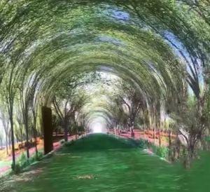 Высокая яркость туннельный экран под заказ мягкий СВЕТОДИОД SMD P1.53 Модуль светодиодный экран Гибкая видео панель для рекламы - Product Image 2