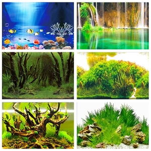 PVC Doppelseite <span class=keywords><strong>Aquarium</strong></span> Hintergrund <span class=keywords><strong>Poster</strong></span> Dekoration <span class=keywords><strong>Aquarium</strong></span> Wand Landschafts bau dekorative Hintergrund <span class=keywords><strong>Poster</strong></span> - Product Image 5