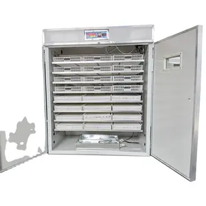 Best Selling Good Quality Egg Incubator Top selling Egg Incubator In The USA