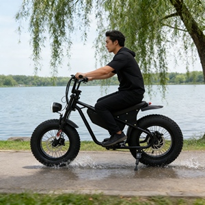 Bicicleta Eléctrica Todoterreno de Alta Potencia para Aventuras Extremas y Montaña, Gran Venta - Product Image 2