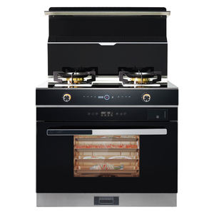 Gexiang Factory <span class=keywords><strong>Hotte</strong></span> <span class=keywords><strong>de</strong></span> cuisine Multifonctionnel 2 Brûleurs Cuisinière à <span class=keywords><strong>gaz</strong></span> Cuisinière Four intégré - Product Image 6