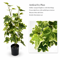 Plante artificielle de patate douce variegée de 60 cm de haut, feuillage réaliste vert et blanc, fausse plante en pot pour villa et hôtel