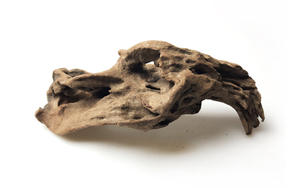 Bois flotté naturel pour aquarium, décoration moderne d'aquarium Reptile cacher des branches de bois, ornements aquatiques de décoration intérieure pour le salon - Product Image 4