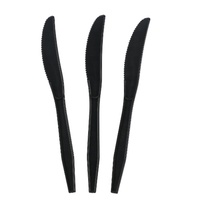 Ensemble de couverts jetables écologiques en CPLA pour la restauration américaine, idéal pour les grillades, les steaks et les événements barbecue
